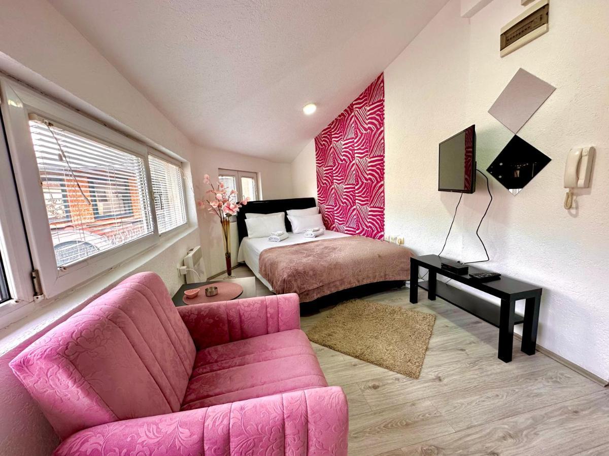 Apartmani Aleksandra U Centru Grada 克拉古耶瓦茨 外观 照片