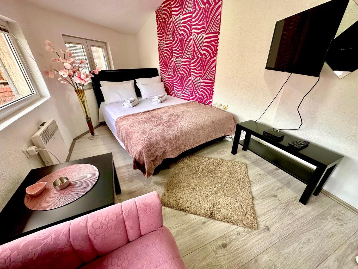 Apartmani Aleksandra U Centru Grada 克拉古耶瓦茨 外观 照片