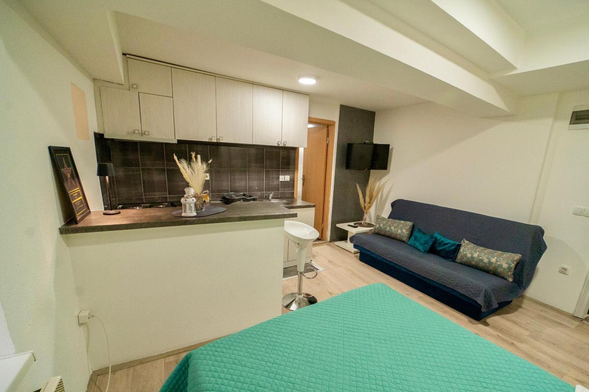 Apartmani Aleksandra U Centru Grada 克拉古耶瓦茨 外观 照片