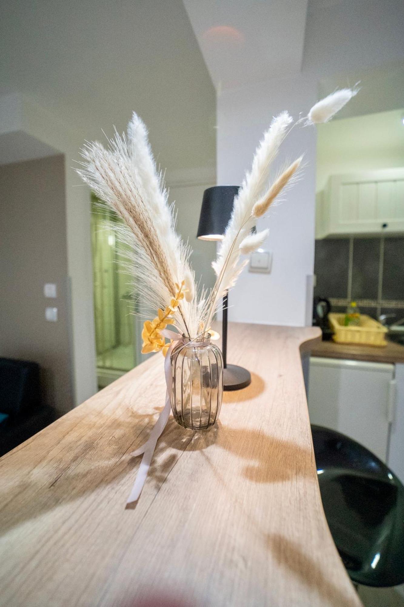 Apartmani Aleksandra U Centru Grada 克拉古耶瓦茨 外观 照片